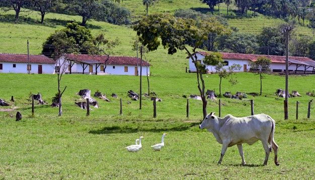 Paisagem rural